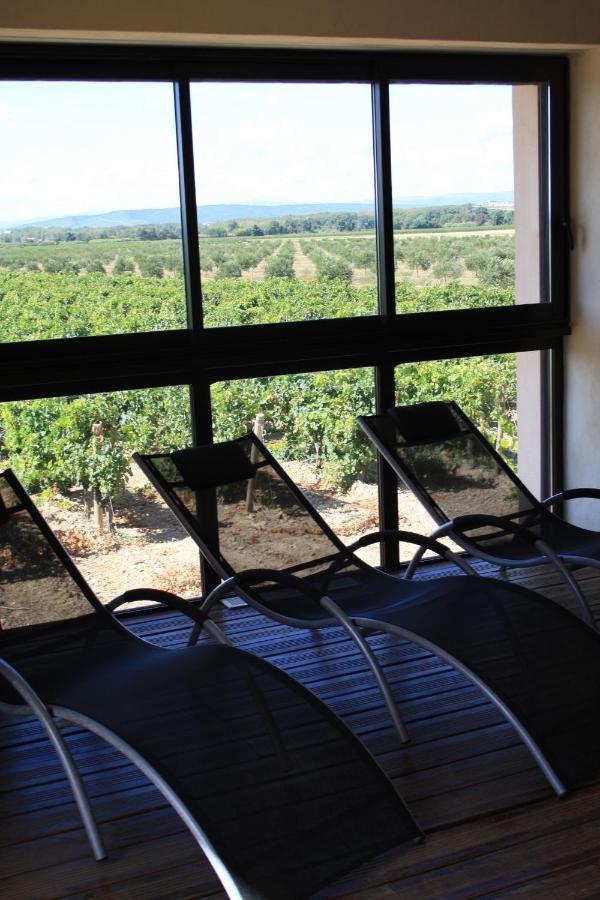 Domaine De L'aube Des Temps Hébergement de vacances Raissac-d'Aude